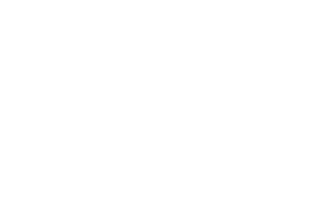 Festival Ticketshop Logo